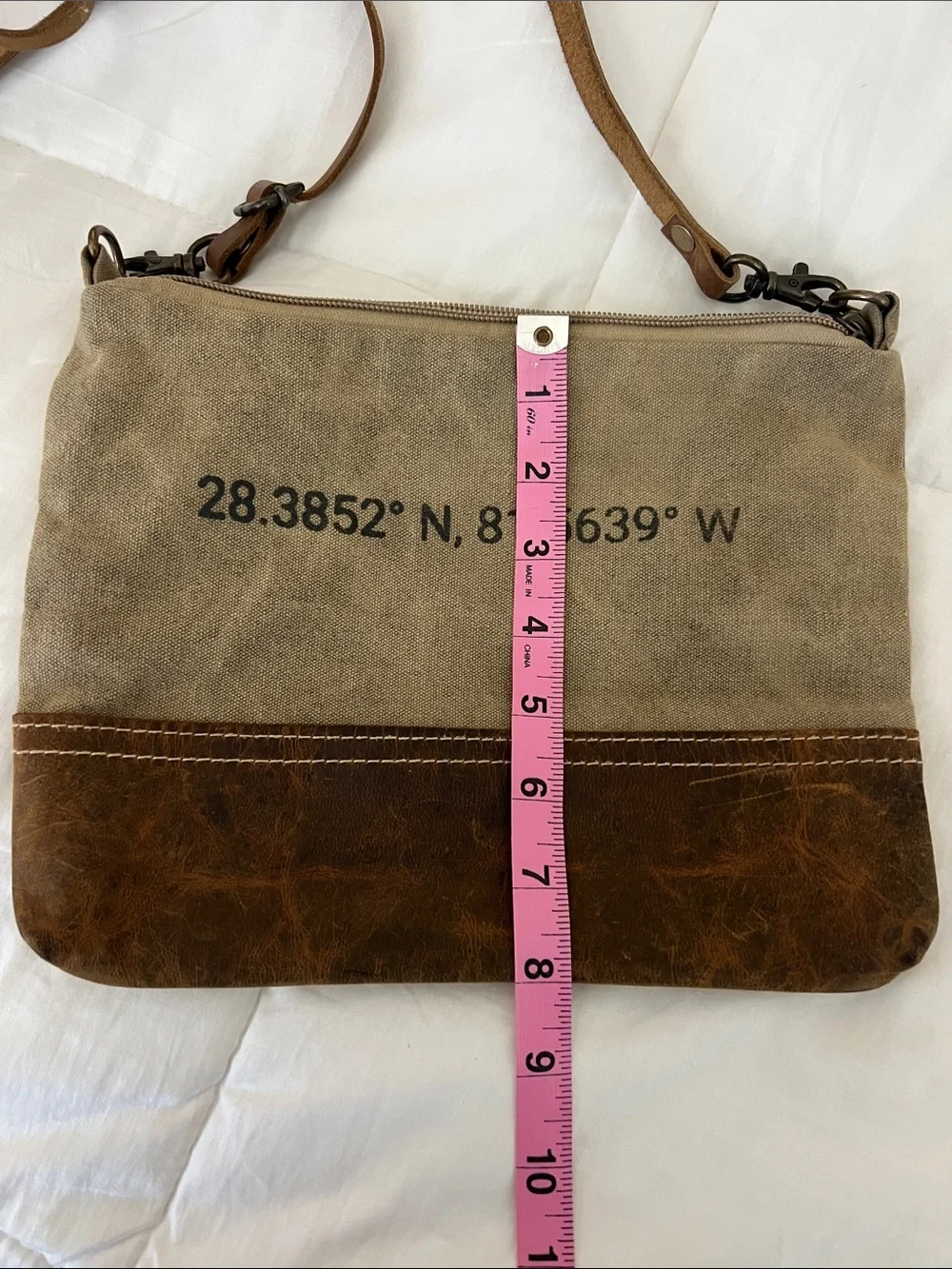 Sugarboo&Co. Disney Canvas and Leather Crossbody Bag in Tan and Brown